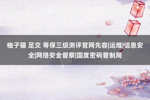 柚子猫 足交 等保三级测评官网先容|运维|信息安全|网络安全督察|国度密码管制局