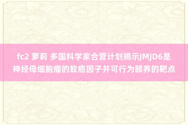 fc2 萝莉 多国科学家合营计划揭示JMJD6是神经母细胞瘤的致癌因子并可行为颐养的靶点