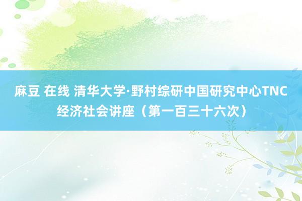 麻豆 在线 清华大学·野村综研中国研究中心TNC经济社会讲座（第一百三十六次）