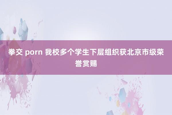 拳交 porn 我校多个学生下层组织获北京市级荣誉赏赐