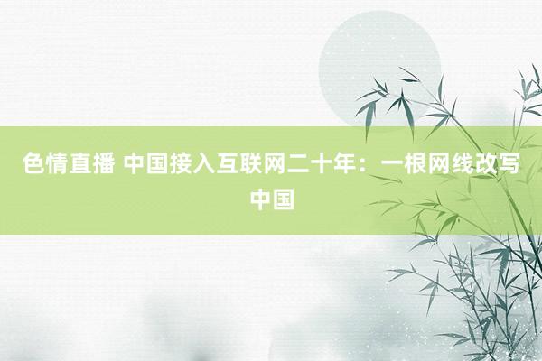 色情直播 中国接入互联网二十年：一根网线改写中国
