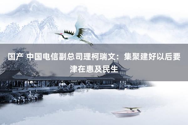 国产 中国电信副总司理柯瑞文：集聚建好以后要津在惠及民生